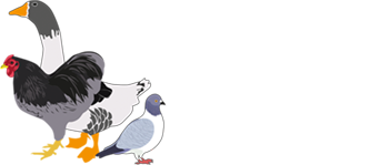 Geflügelzuchtverein
